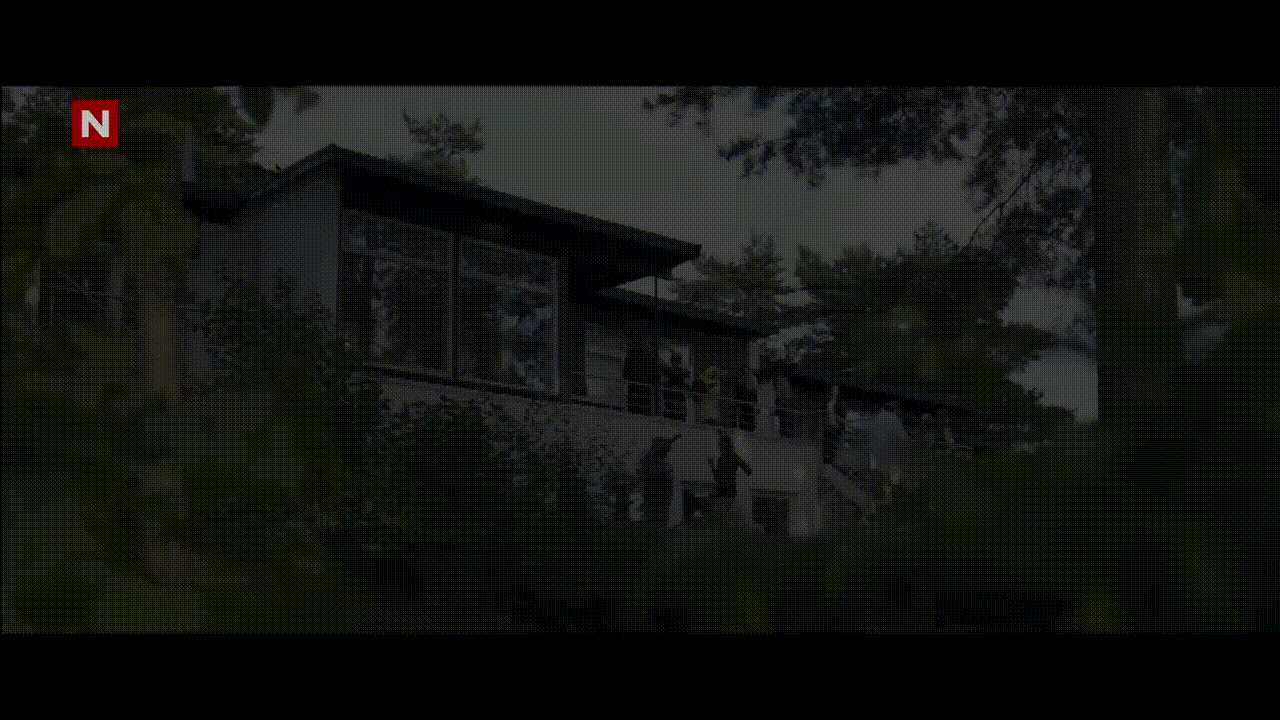 What Does The Fox Say