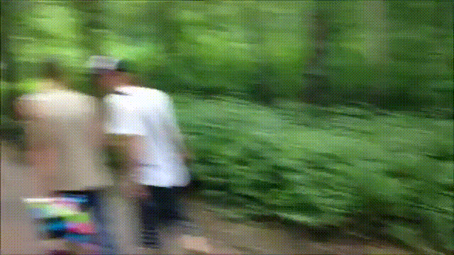 ягуар
