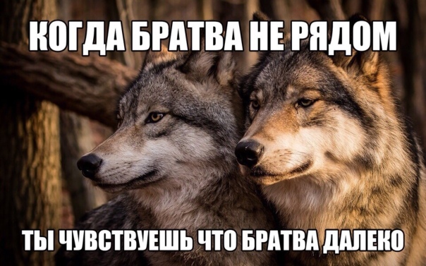 Фотографии со стены