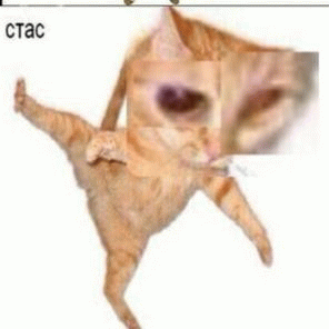 Фотографии со стены