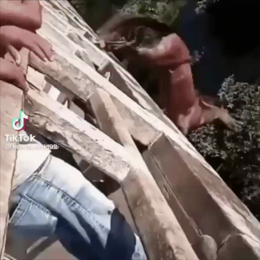 gif photo view