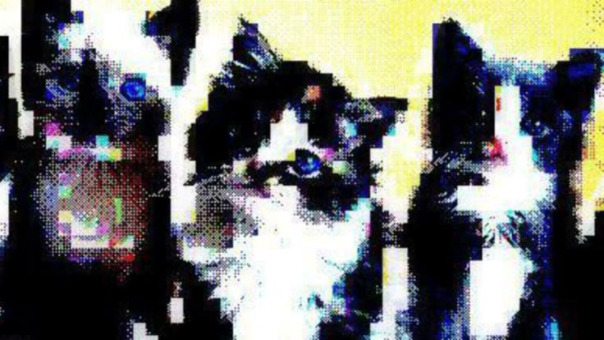 ;b