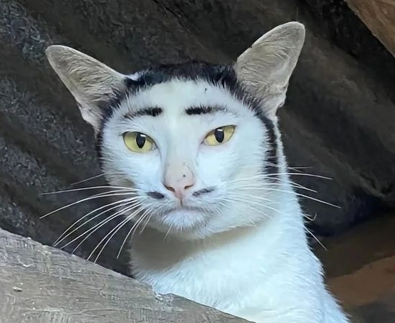 приколы