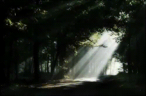 Интервью с Богом