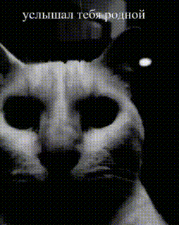 gif photo view