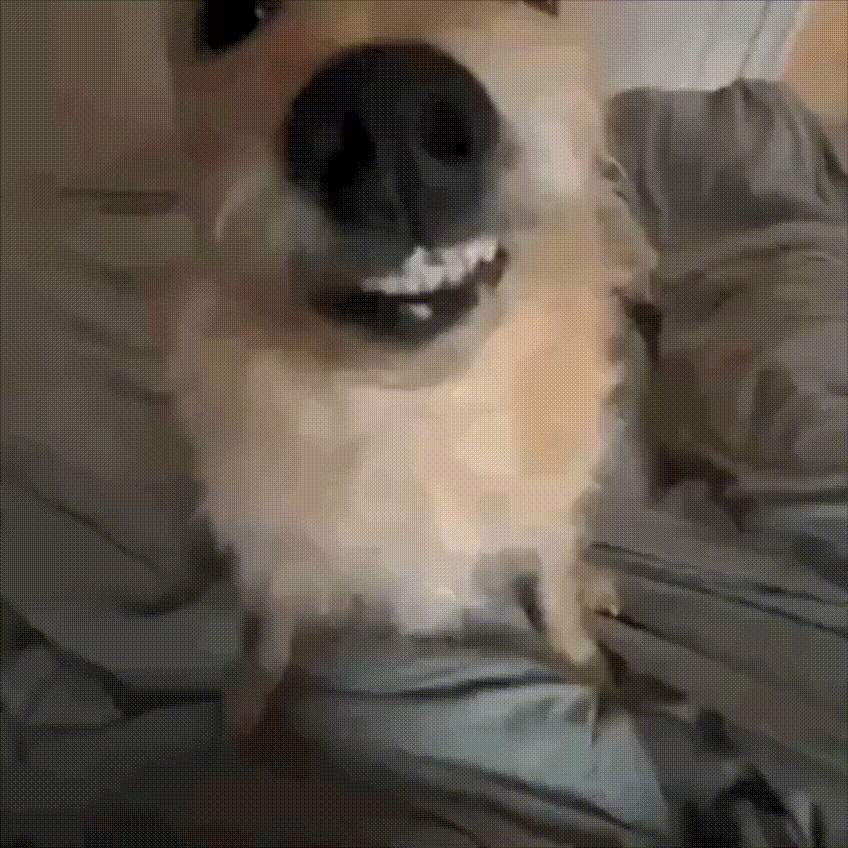gif photo view