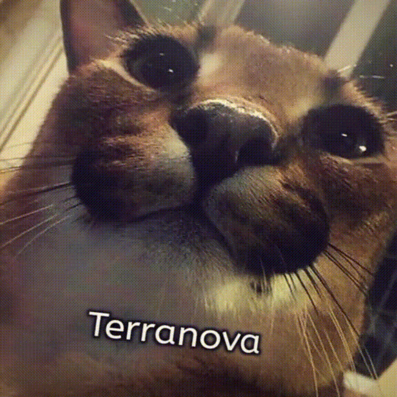 шлеп