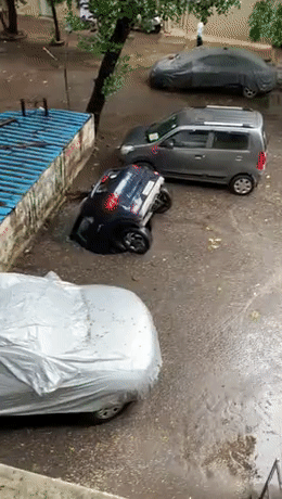 gif photo view