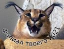 Club image