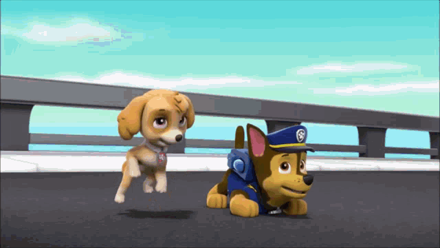 gif photo view