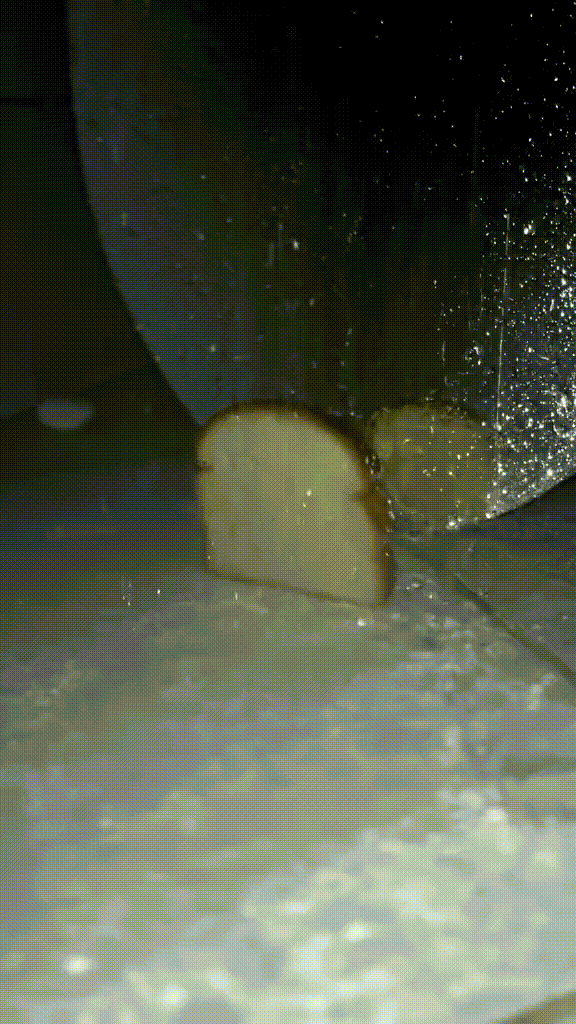 хлеб