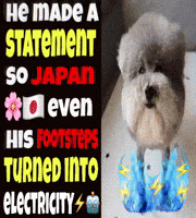 gif photo view