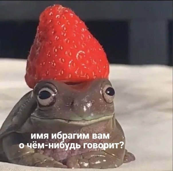 Фотографии со страницы