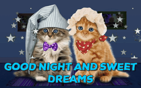 gif photo view
