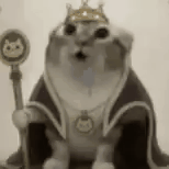 gif photo view