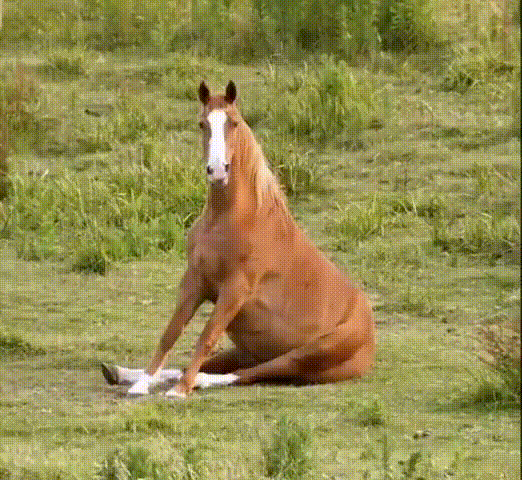Unnamed Video.ogv
