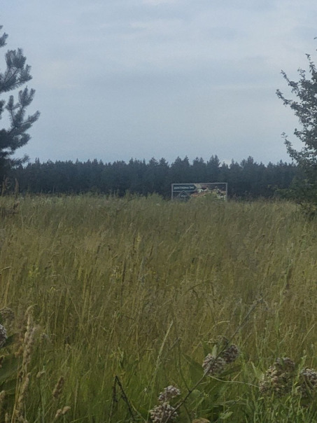 Поля