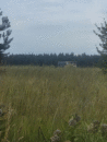Поля