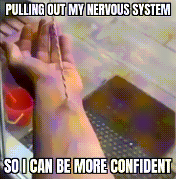 3474765646537