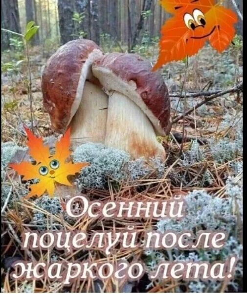 Фотографии со стены