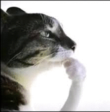 Тимофей 