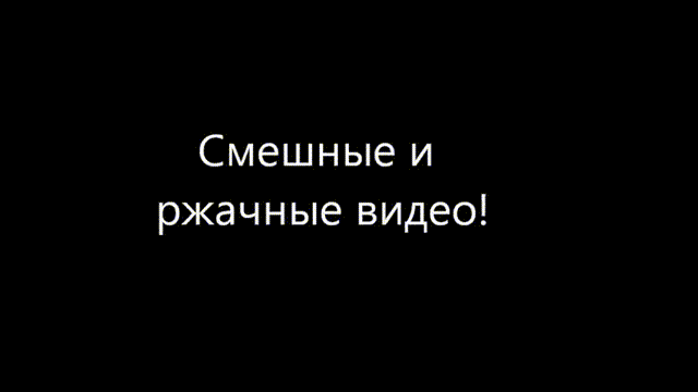Смешные и ржачные видео!