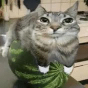 Безделл Пивонский