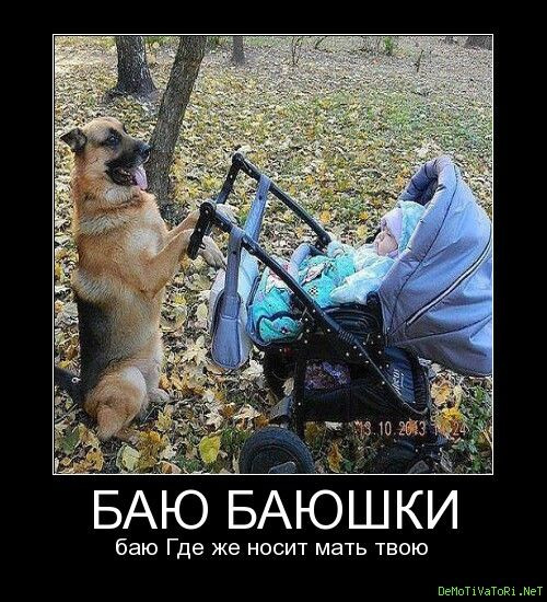 Любимые мемасики