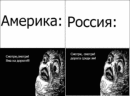 Сравнение