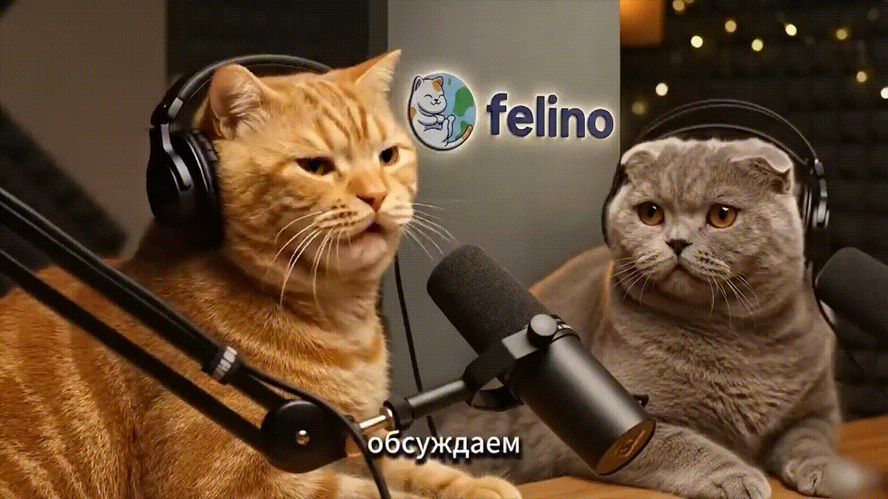 📺 Подкаст Котов | Диалоги о людях