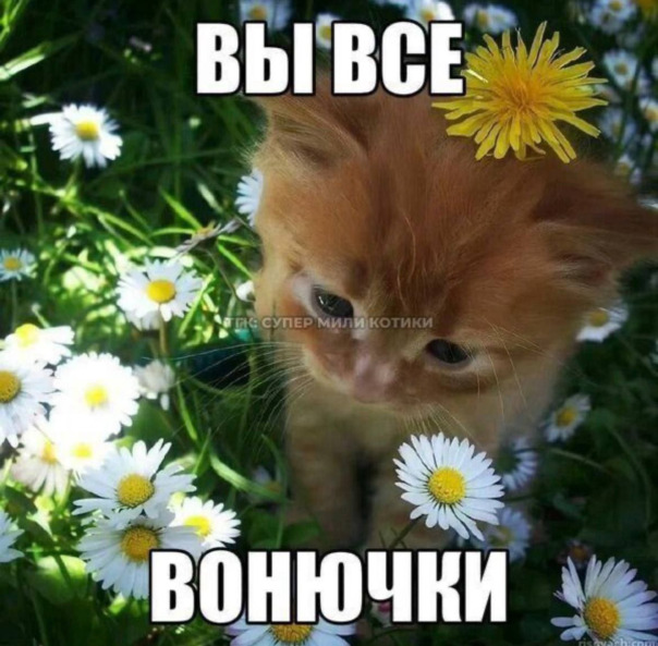 Фотографии со стены