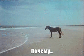 Фотографии со страницы