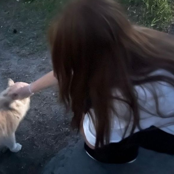ゴゃヂりき 