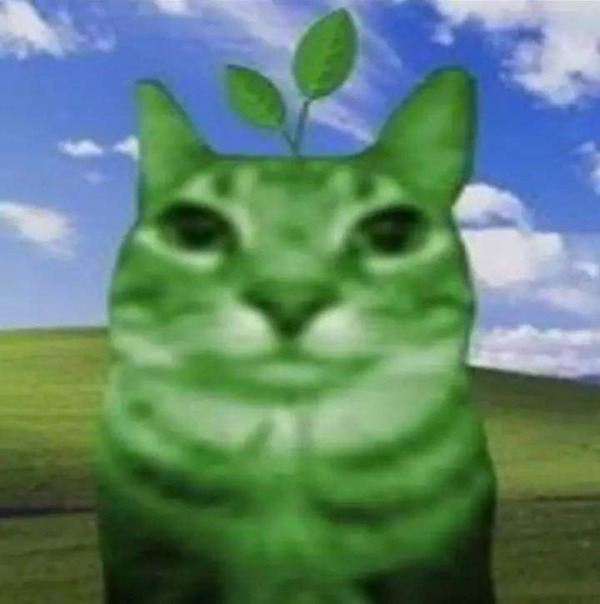 Крипа 