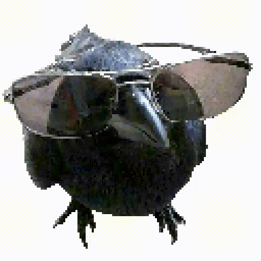 gif photo view
