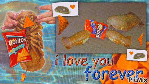 gif photo view