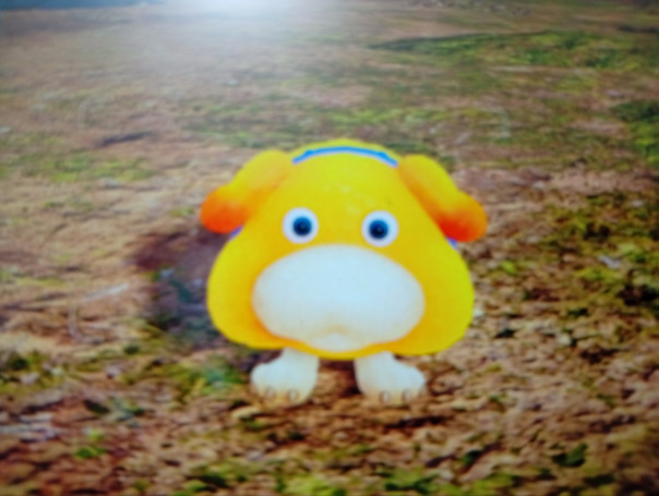 Piki-posting
