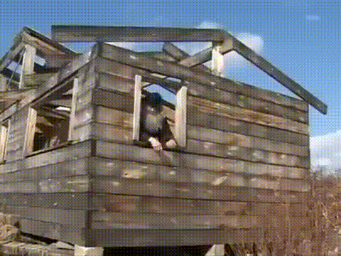 Вы кто такие, я вас не звал, идите нахуй