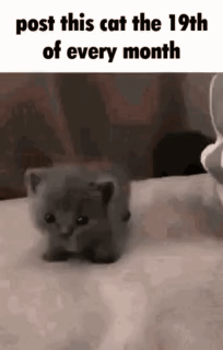 gif photo view