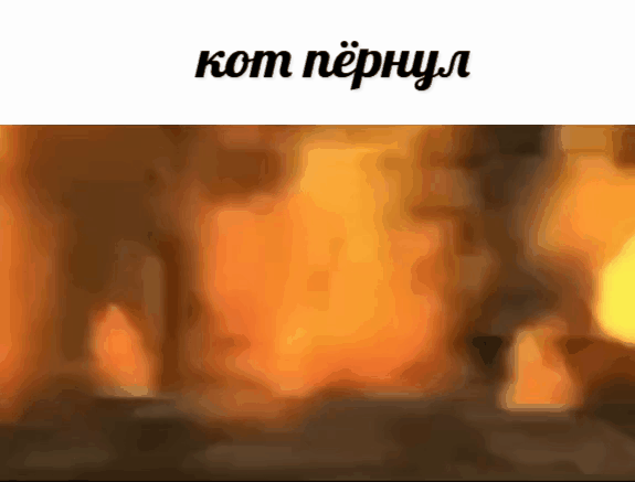 gif photo view