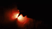 gif photo view