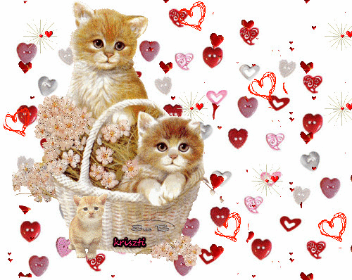 gif photo view