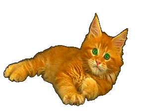 gif photo view