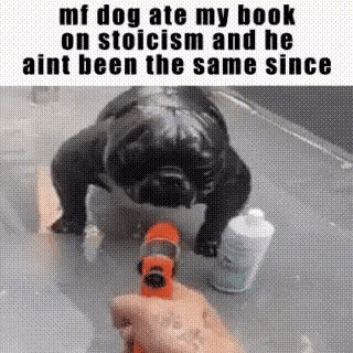 gif photo view