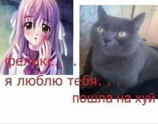 Фотографии со стены