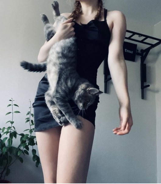 Это мой кисееееныш 😍😍😍
...