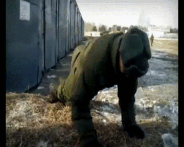 gif photo view