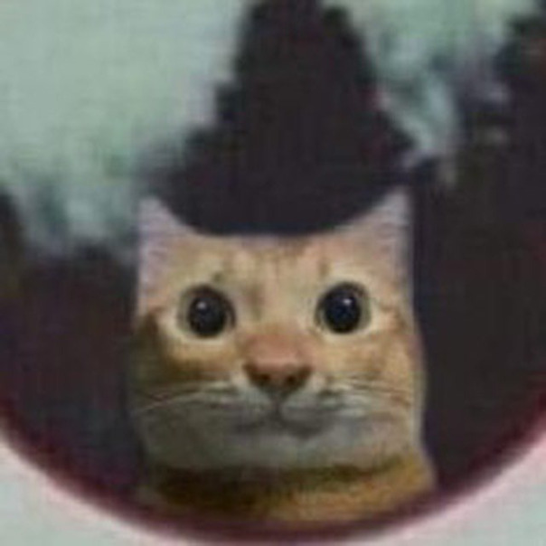 Диалоги