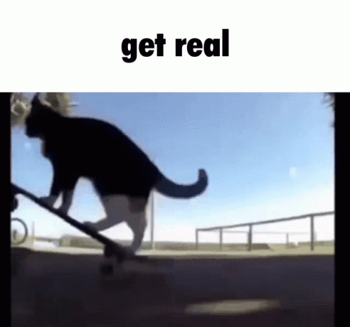 gif photo view