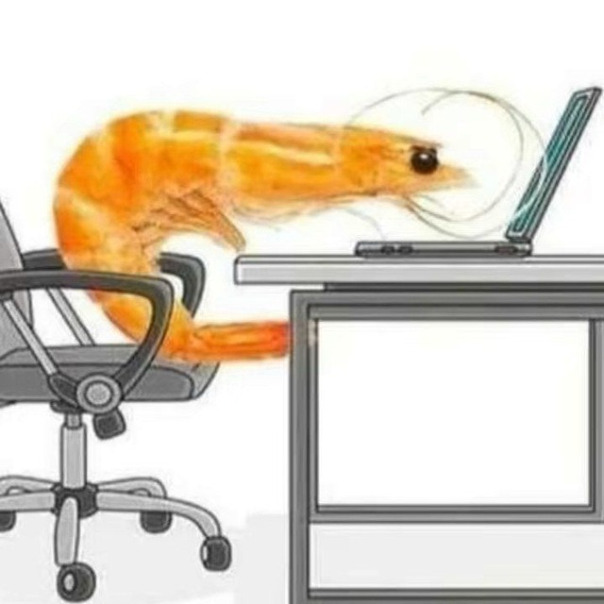 Vn 